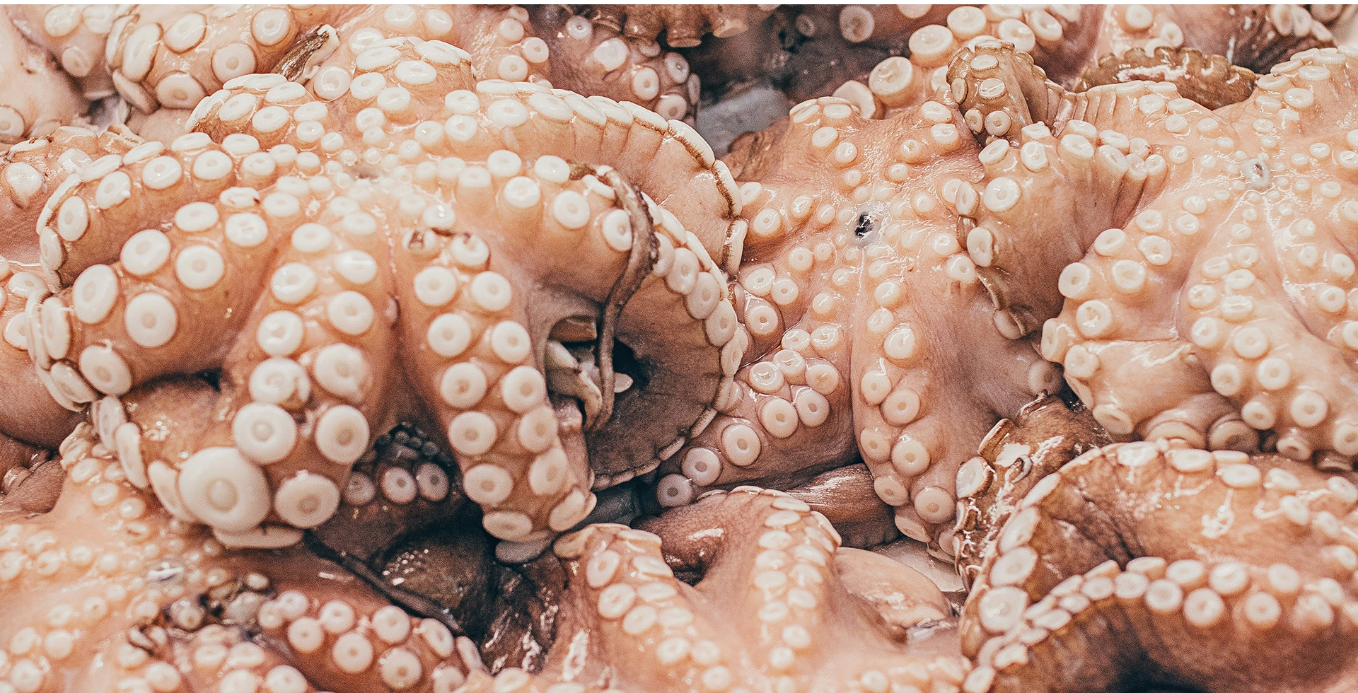 banner laboracion calidad