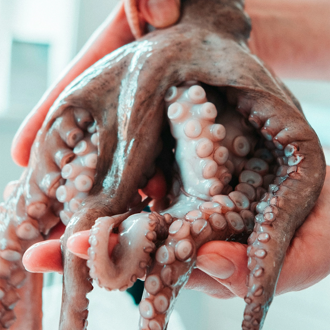 compromiso de sostenibilidad