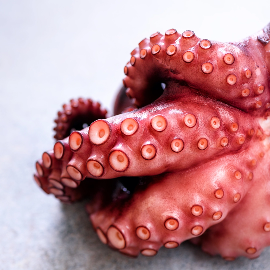 elaboracion y calidad home