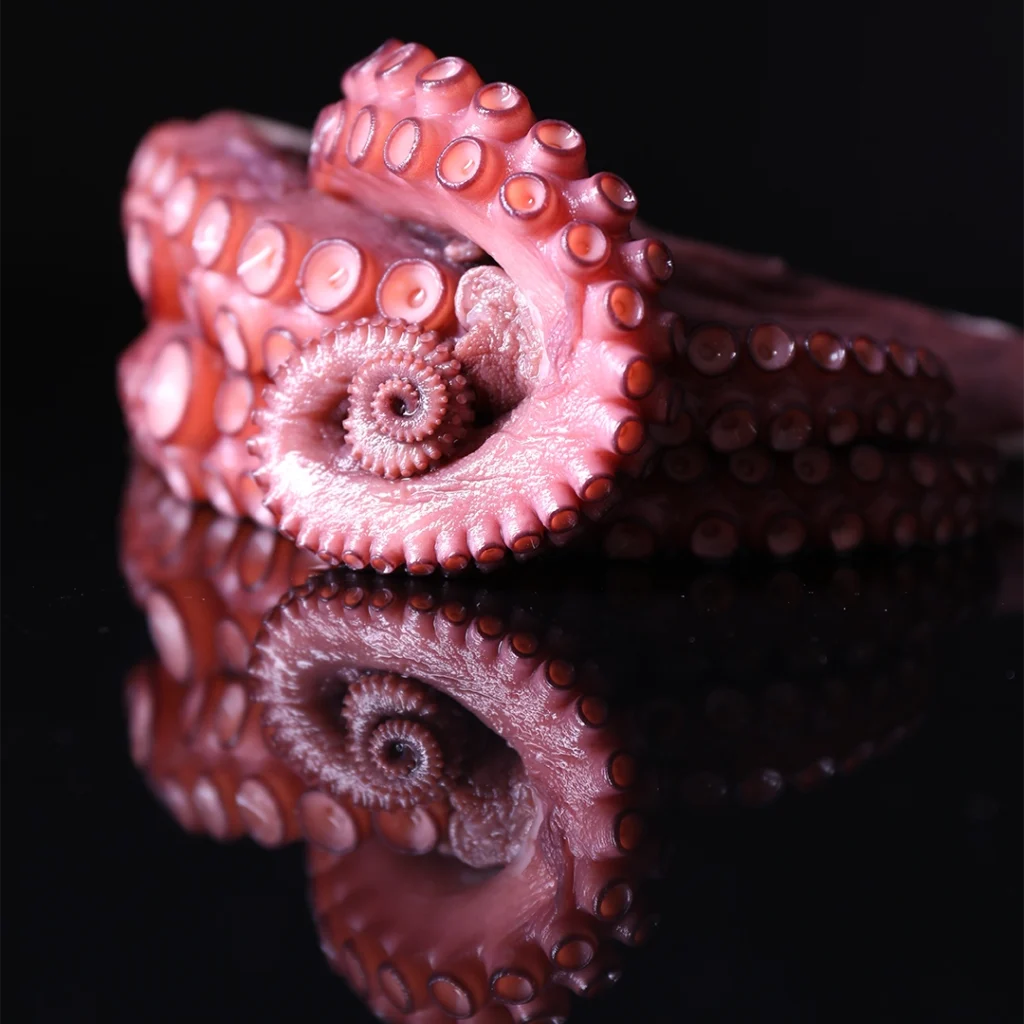 tradicion innovacion